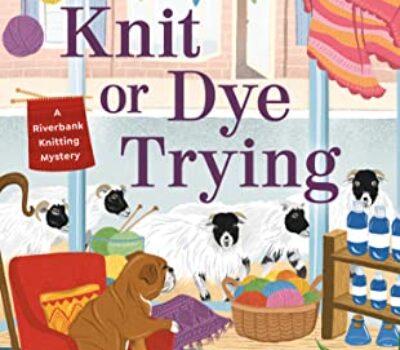 knit-or-dye-trying-allie-pleiter