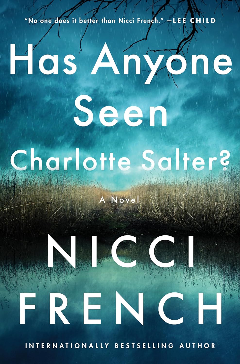 has-anyone-seen-charlotte-salter-nicci-french